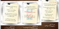 شاباش در شب انتخابات