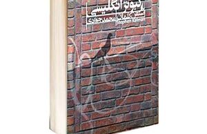 کبوتر انگلیسی