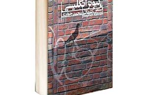 کبوتر انگلیسی