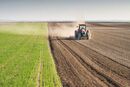 چشم‌انداز غذا