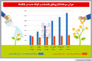 بد‌ترکیب