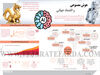 هوش مصنوعی و اقتصاد جهانی