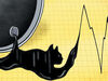 موش‌ها و بازارها