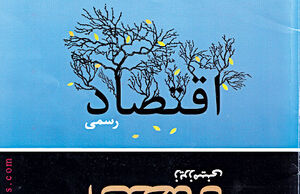۲۵ درصد اقتصاد در سایه است