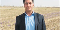 نزاع بیابانی

