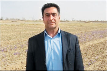 نزاع بیابانی

