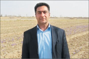 نزاع بیابانی

