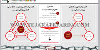 چرا دولت ناتوان است؟