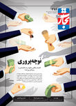 نوچه‌پروری