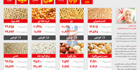 اختیار یا اجبار؟