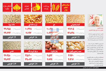 اختیار یا اجبار؟
