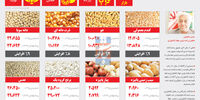 اختیار یا اجبار؟