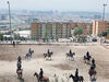 مصائب اسب‌داری