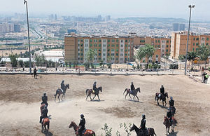 مصائب اسب‌داری