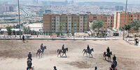 مصائب اسب‌داری