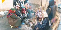 سرما در آوار