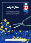 مجازات رشد