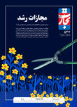 مجازات رشد