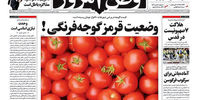 گرانی گوجه و نگرانی دلواپسان