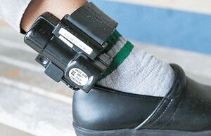پای در بند