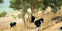 رمز و راز یک دغدغه