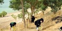 رمز و راز یک دغدغه