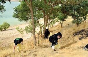 رمز و راز یک دغدغه