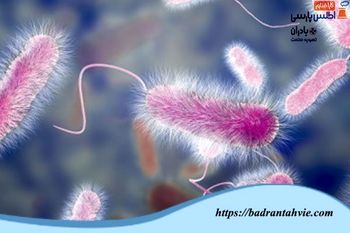 نحوه کنترل بیماری لژیونلا در برج های خنک کننده