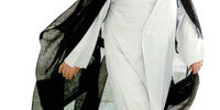 بازنشستگی شیخ