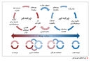 نه فرشته‌ام نه شیطان

