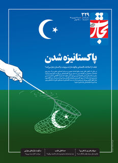 پاکستانیزه شدن