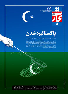 پاکستانیزه شدن
