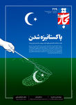 پاکستانیزه شدن