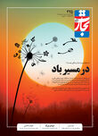 در مسیر باد