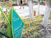 معمای قیطریه