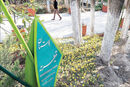 معمای قیطریه
