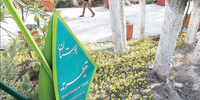معمای قیطریه